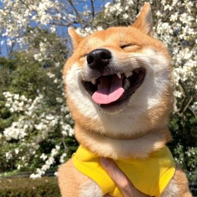 Jun-Jun Gaming avatar